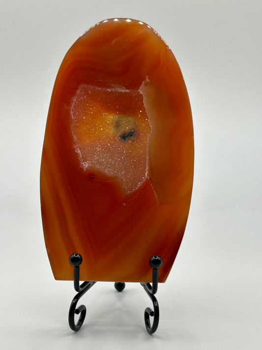 Free Form(s) - Carnelian (Polished/Drusy)