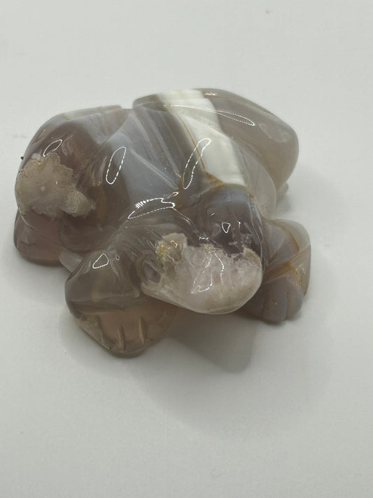 Frog(s) - Flower Agate