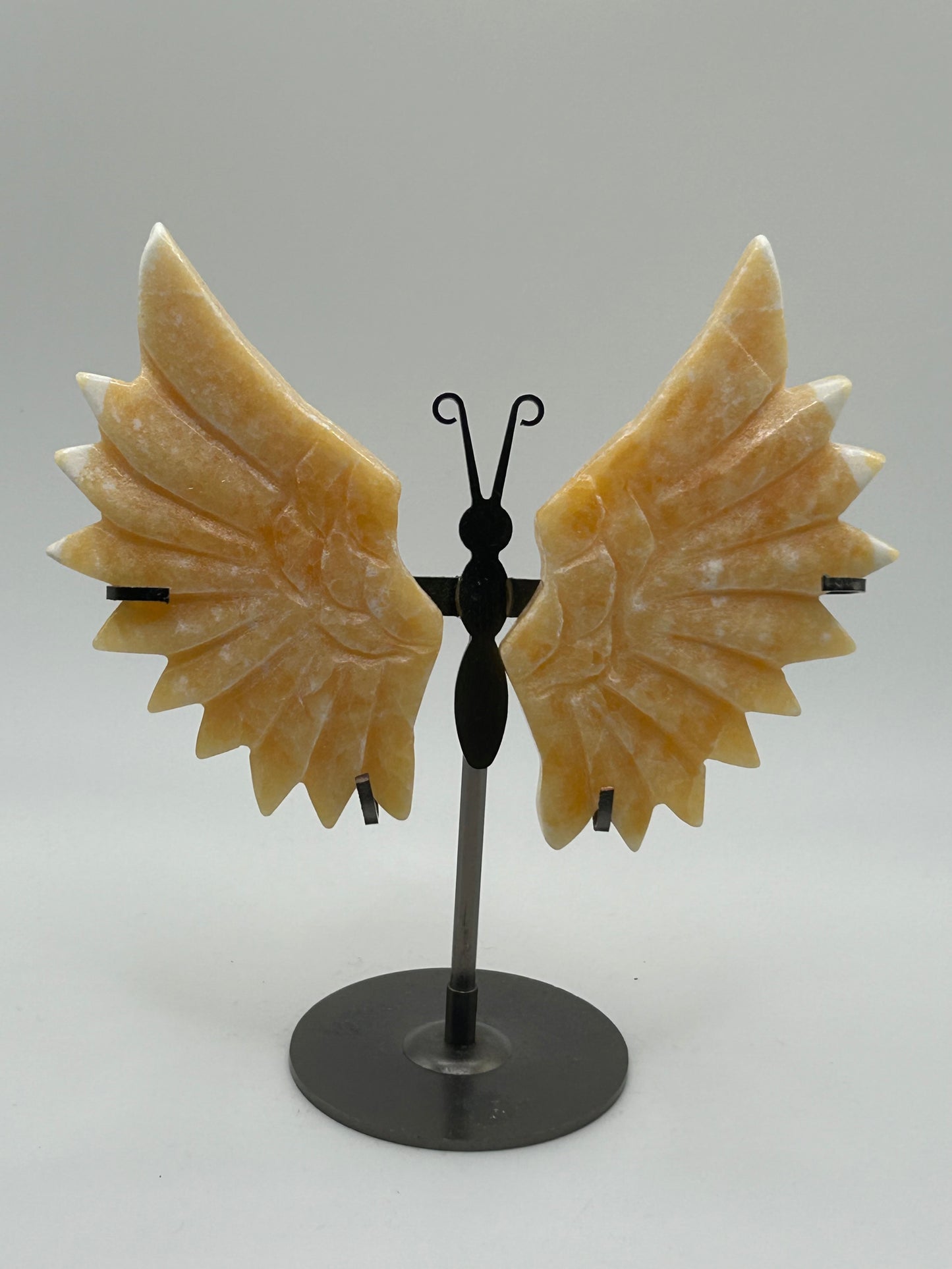 Butterfly Wings (Stand Included)