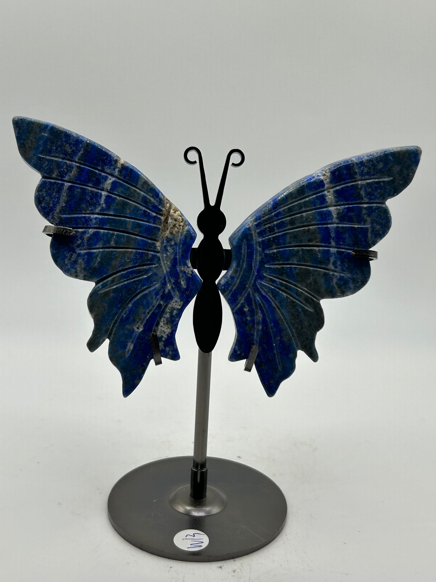 Butterfly Wings (Stand Included)