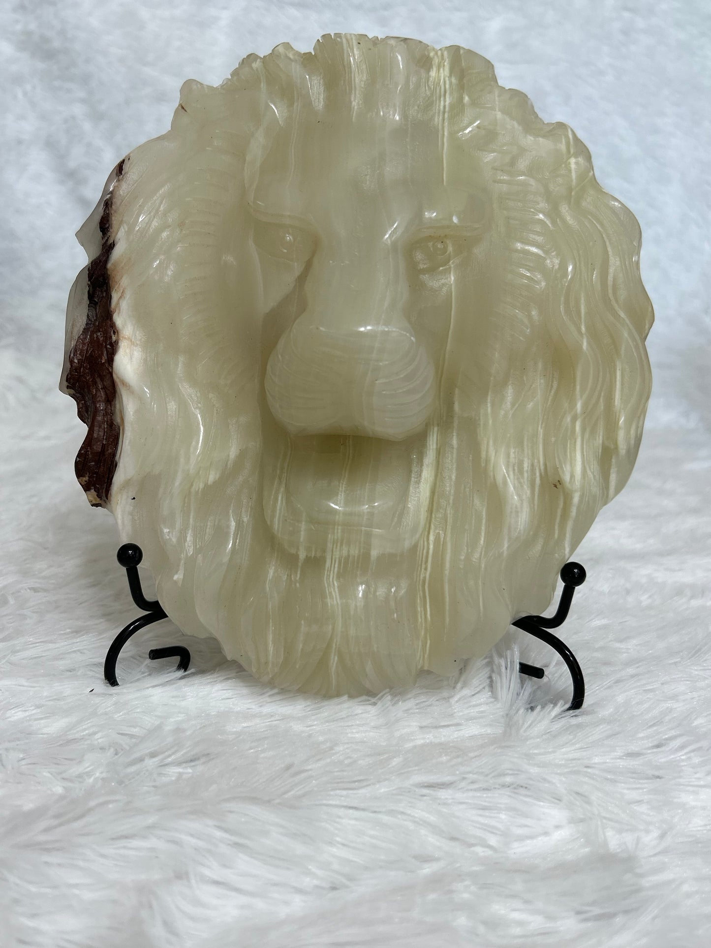 Lion Head(s)