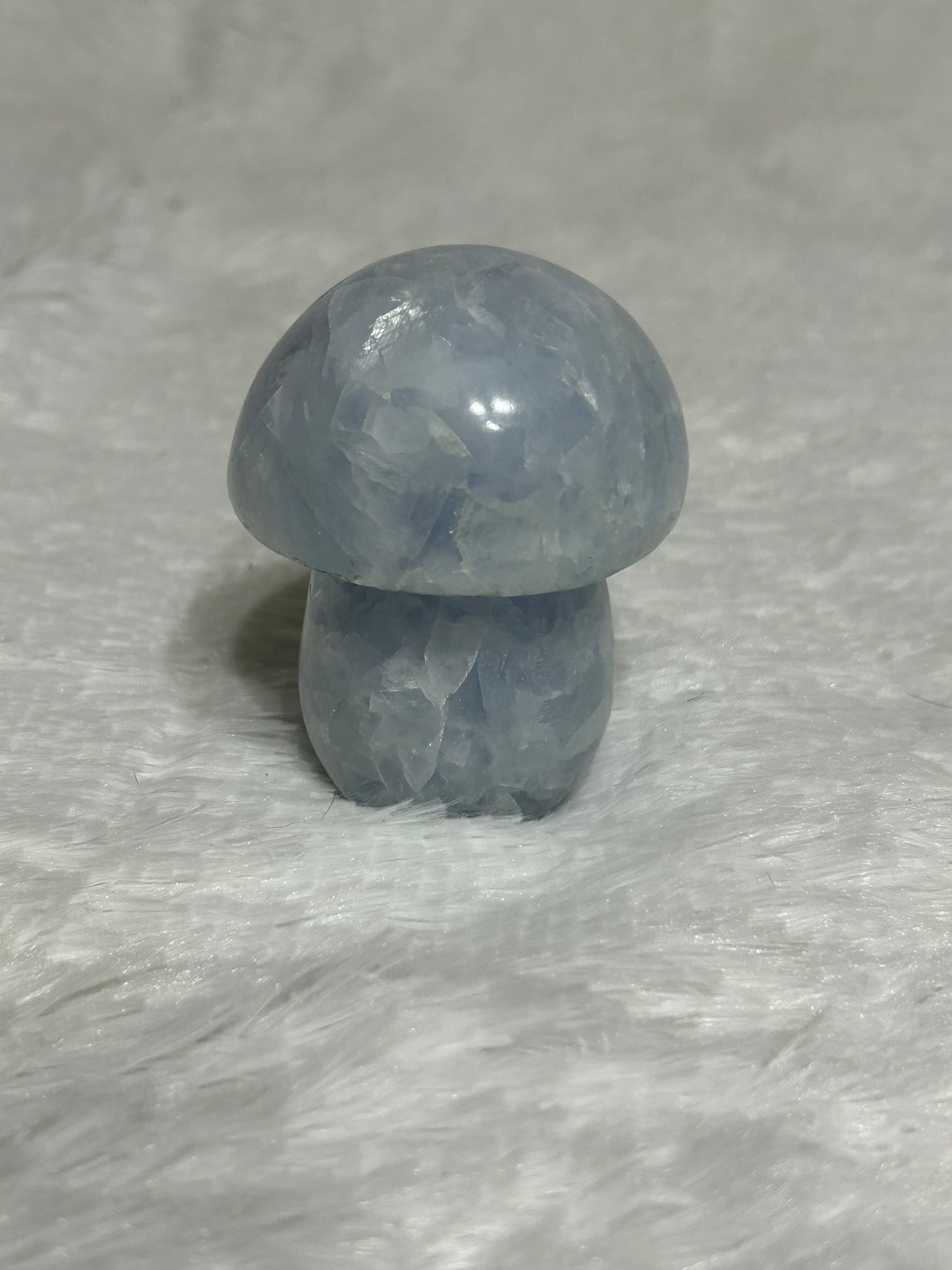 Mushroom(s), Celestite