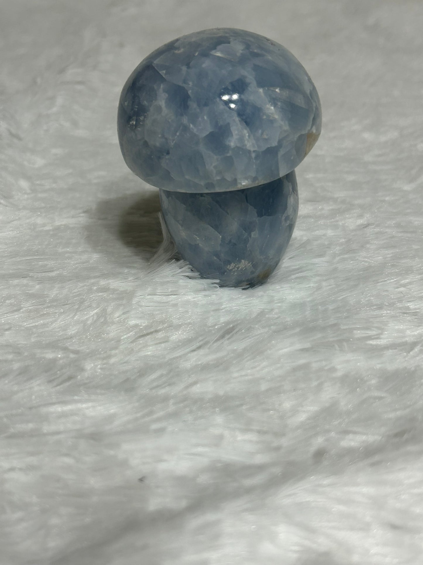 Mushroom(s), Celestite