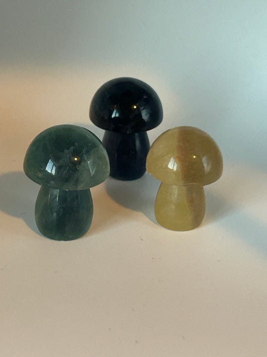 Mushroom(s), Small - Fluorite (Multi-Colored)