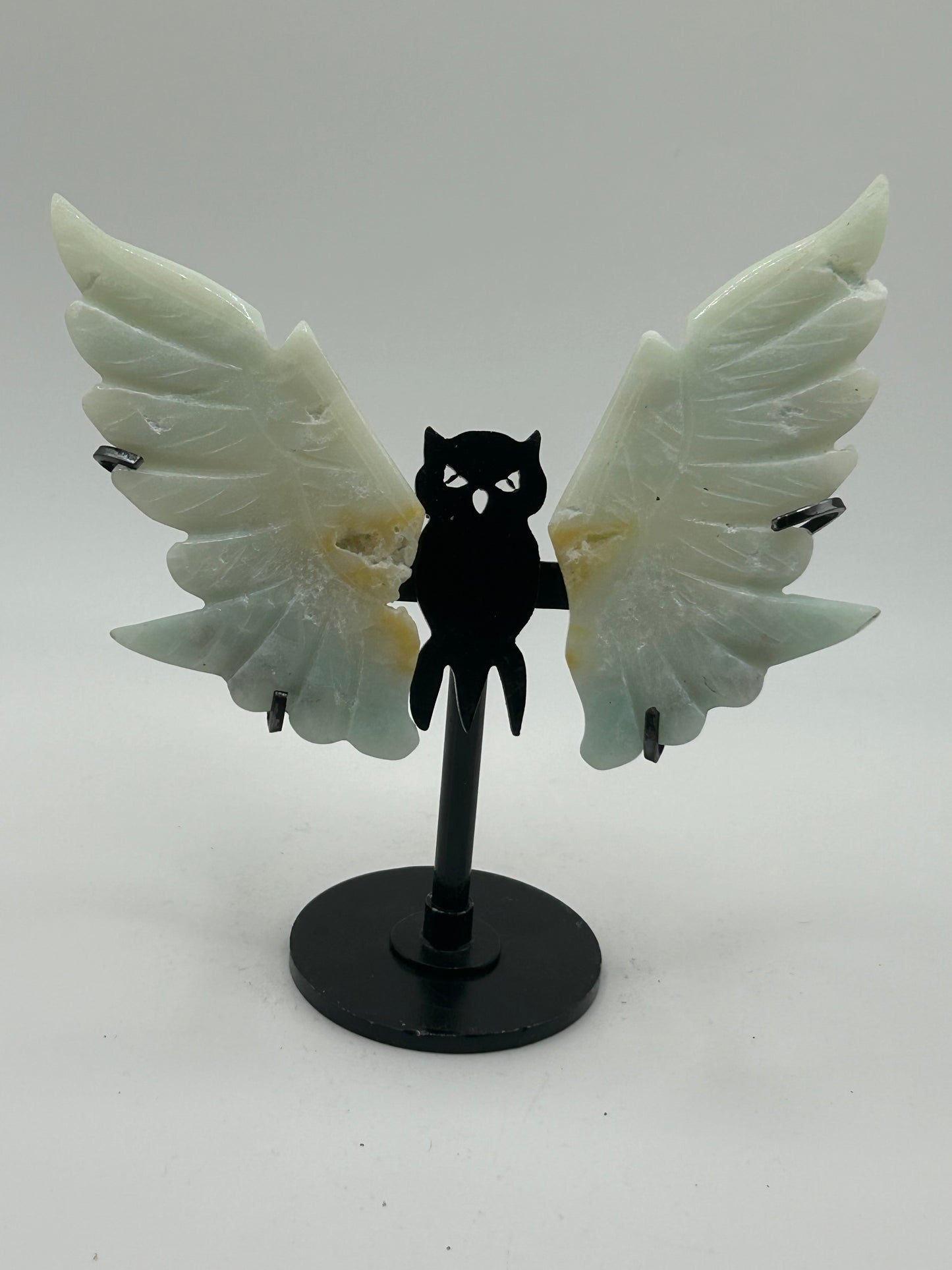 Owl Wings on Stand