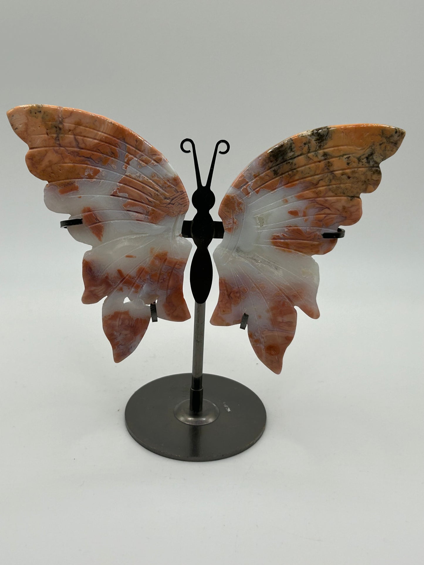 Butterfly Wings (Stand Included)