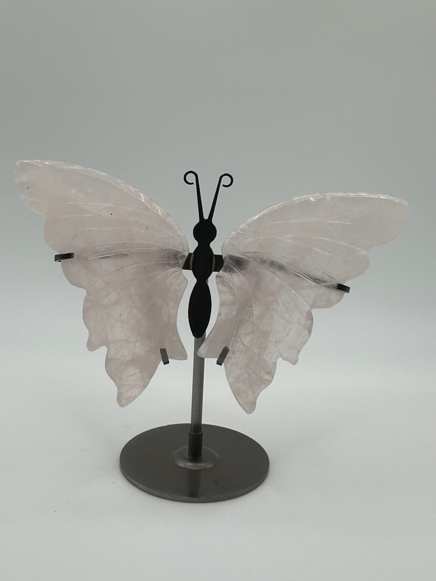 Butterfly Wings (Stand Included)