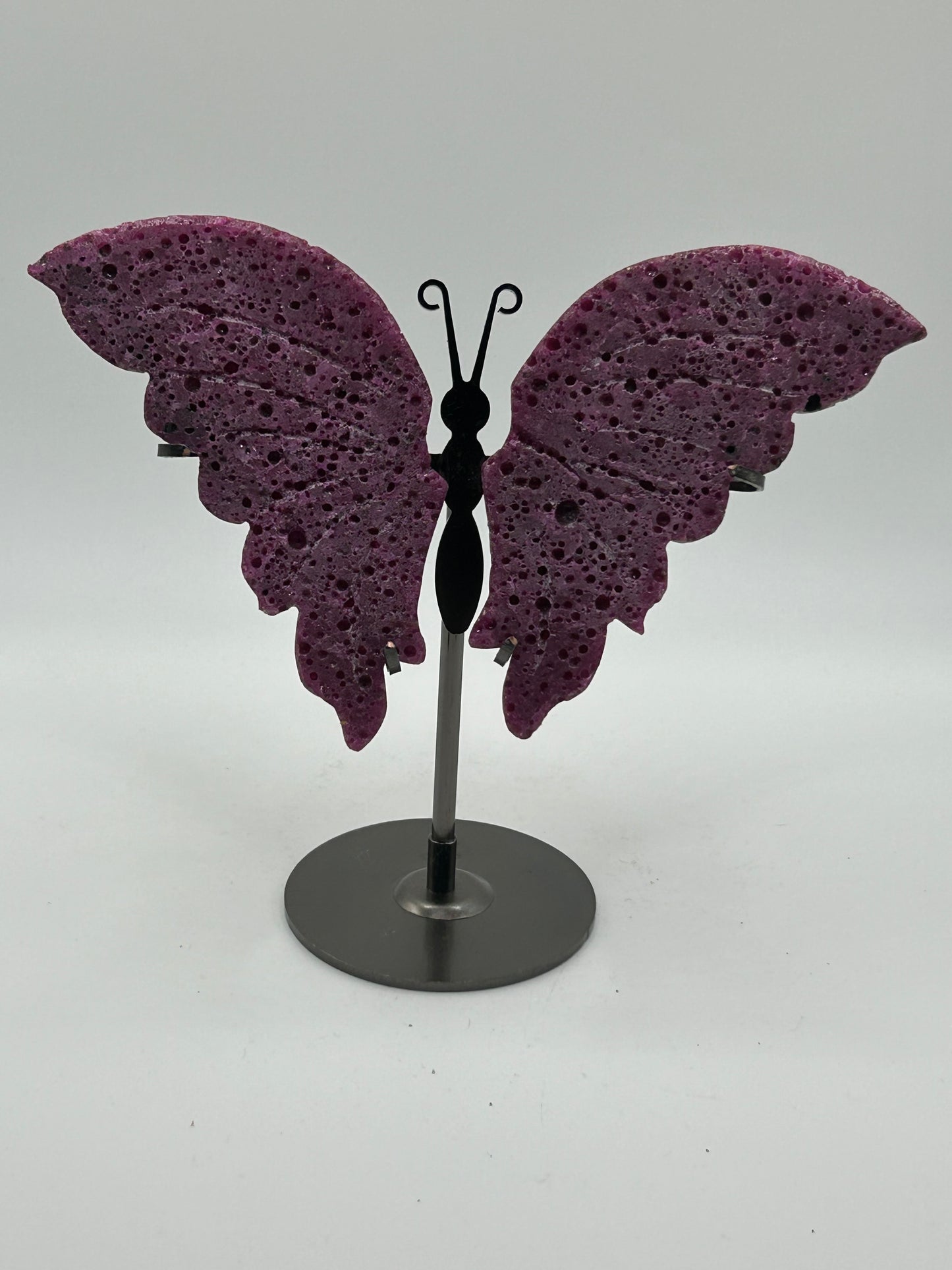 Butterfly Wings (Stand Included)