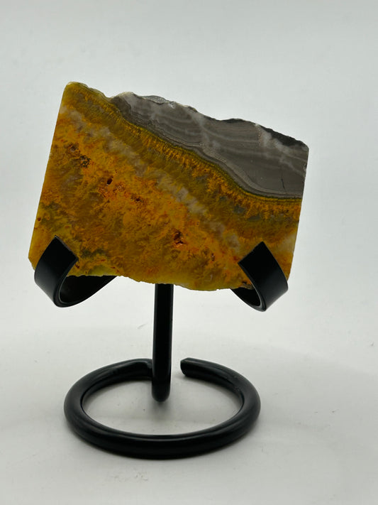 Slab(s) - Bumble Bee Jasper