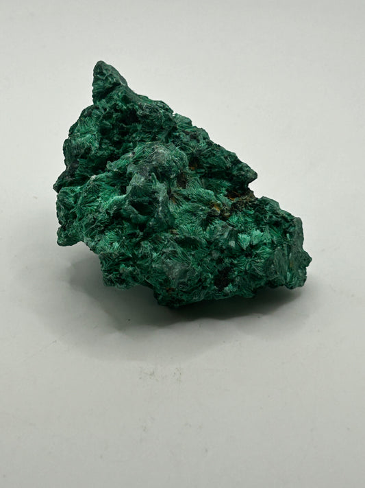 Specimen(s) - Velvet Malachite