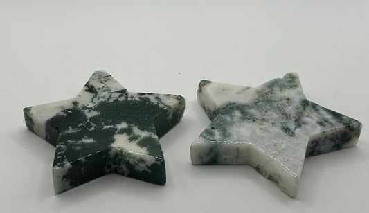 Star(s), Tree Agate