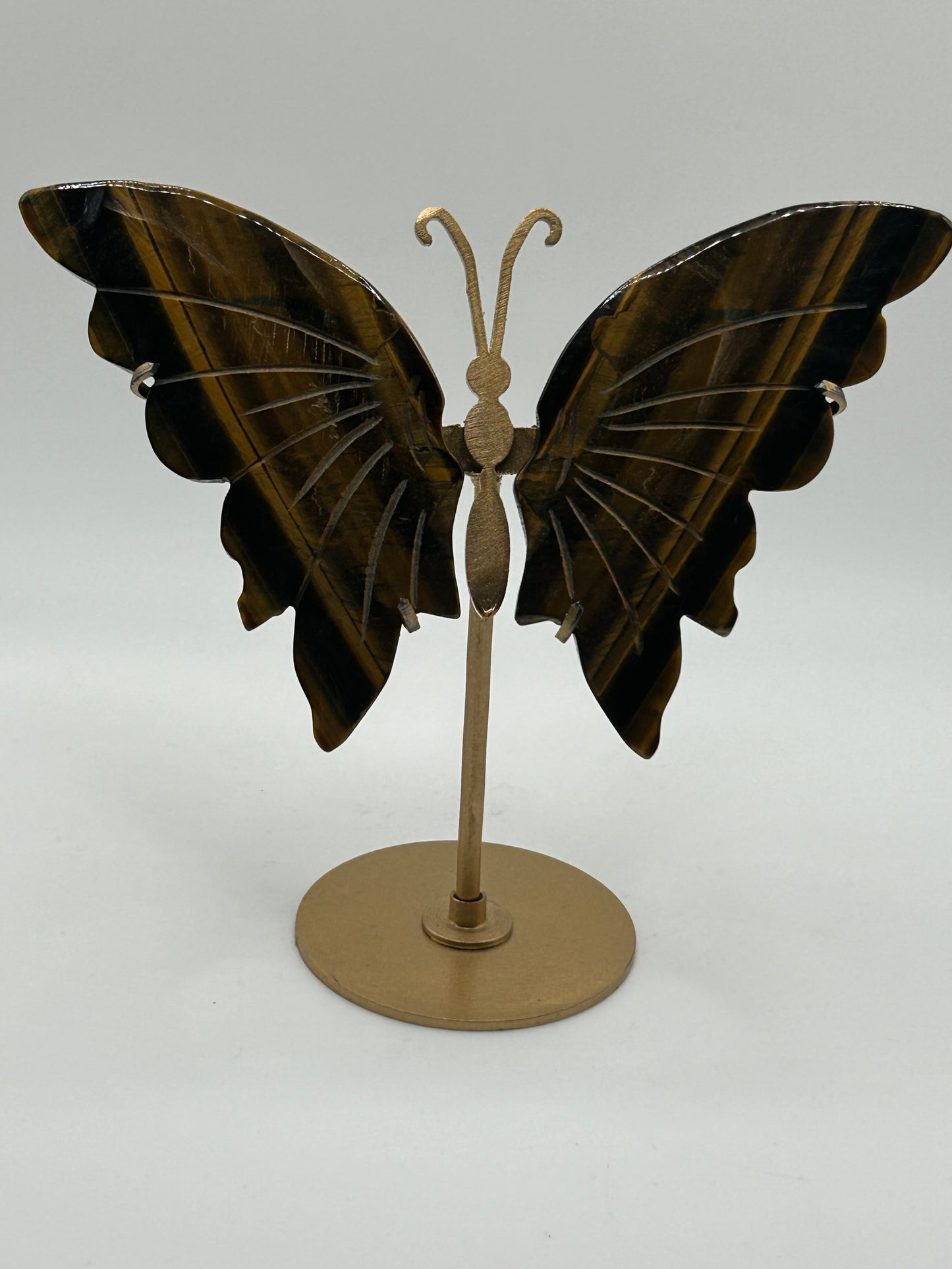 Butterfly Wings (Stand Included)