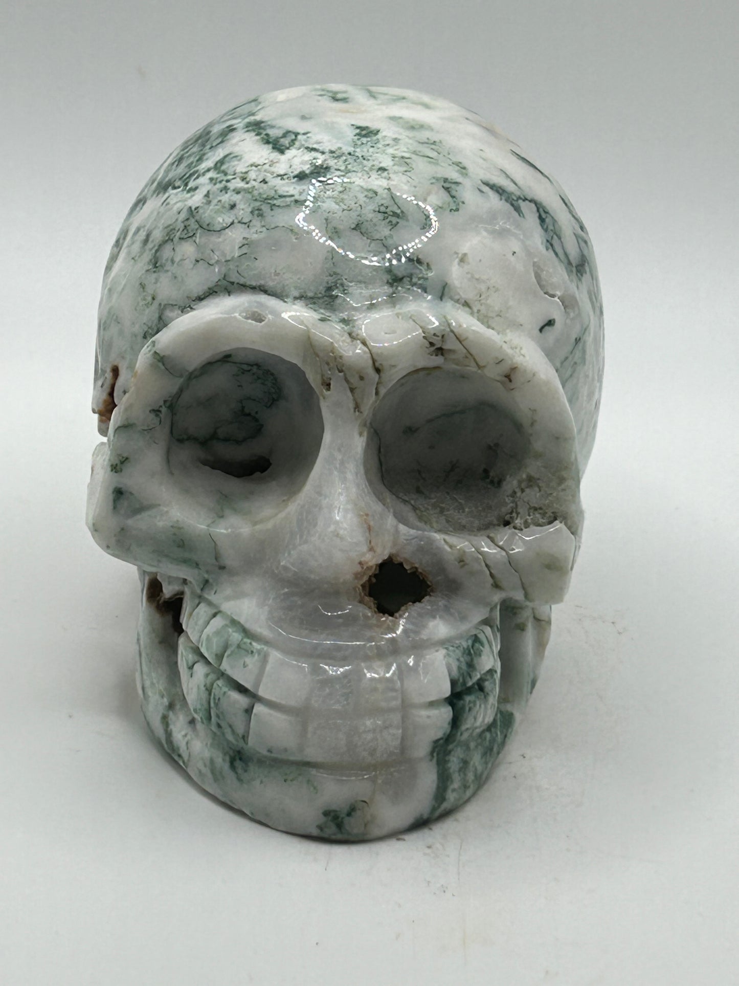 Skull(s) - Tree Agate