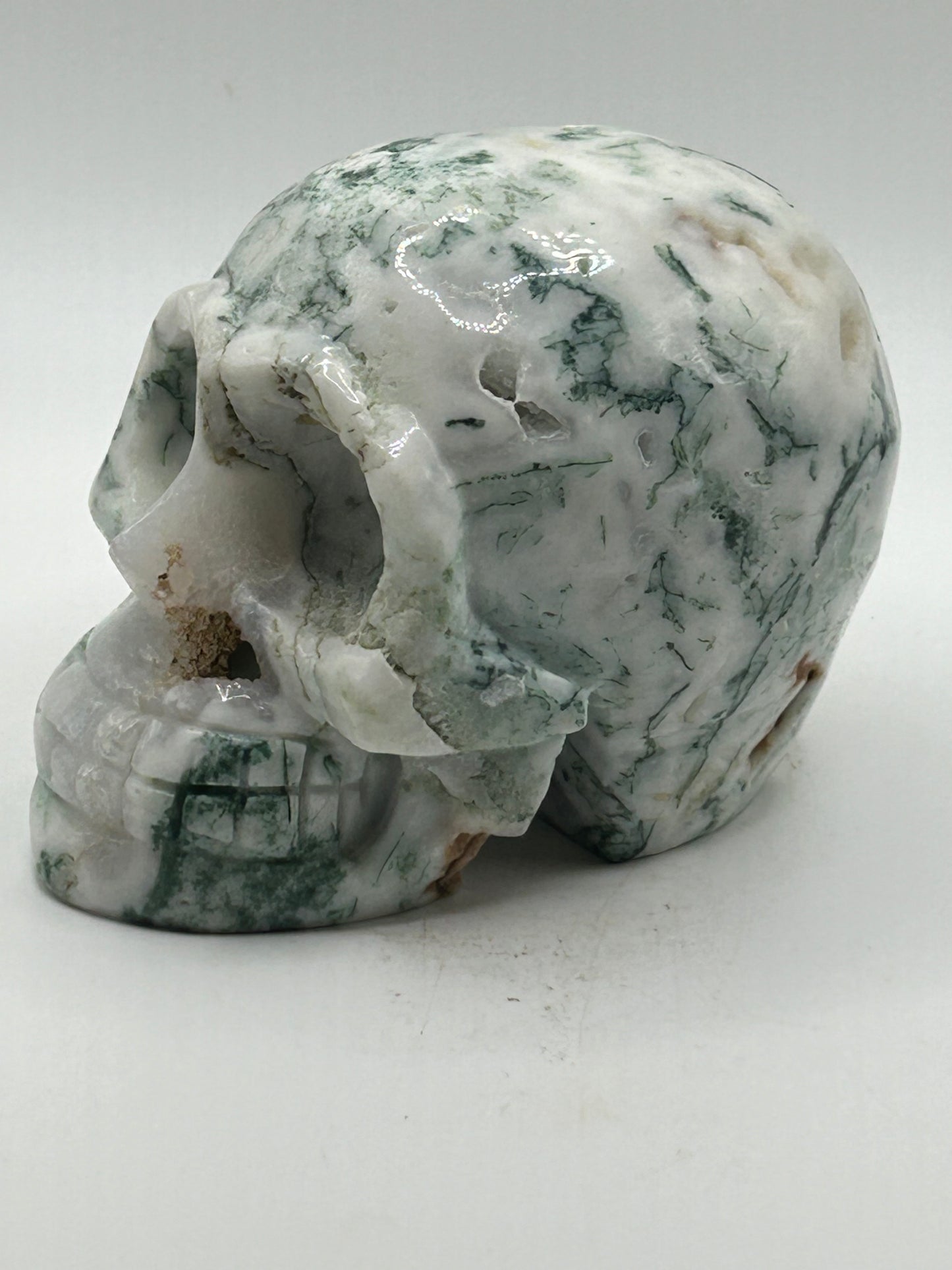 Skull(s) - Tree Agate