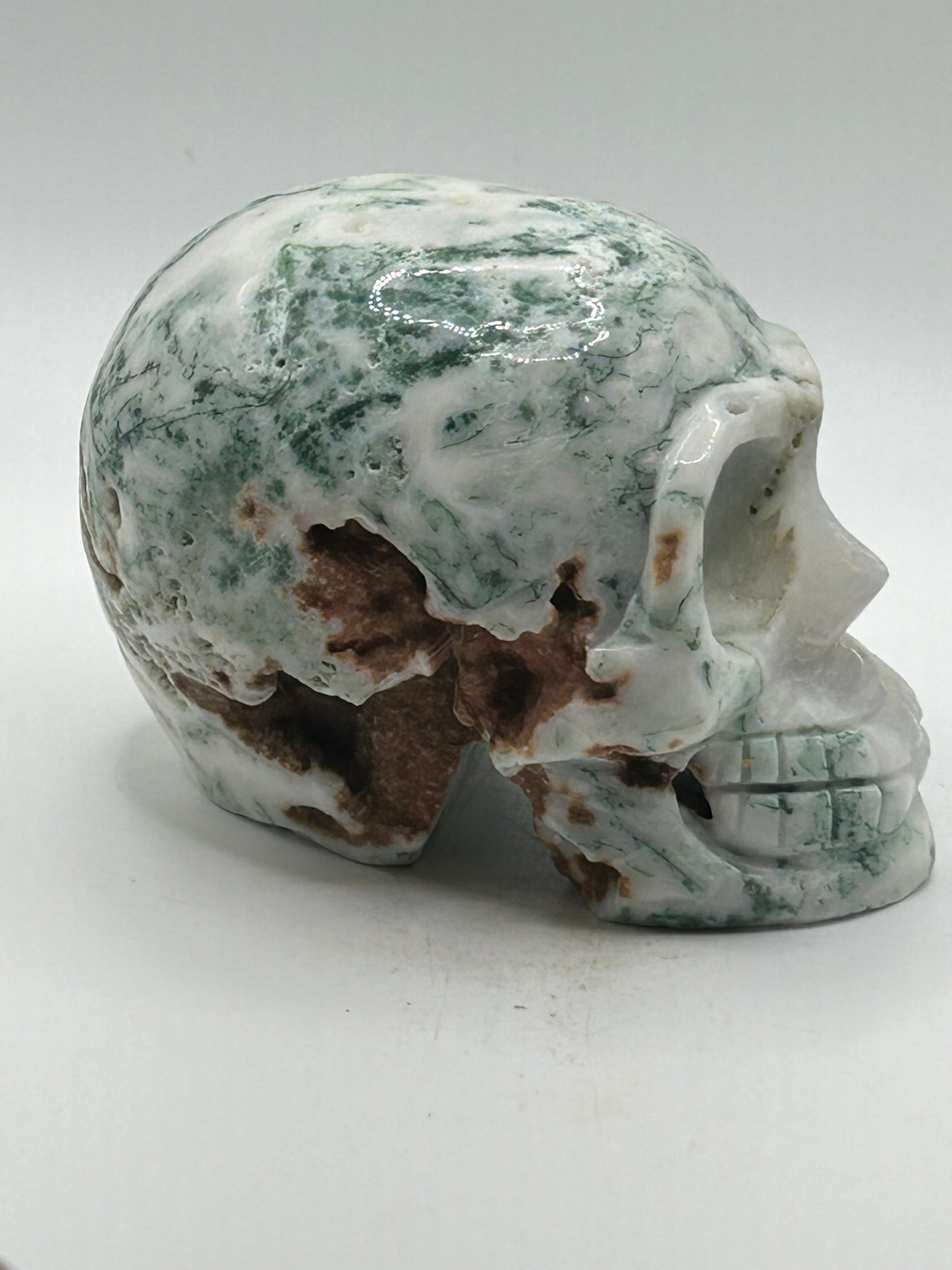 Skull(s) - Tree Agate