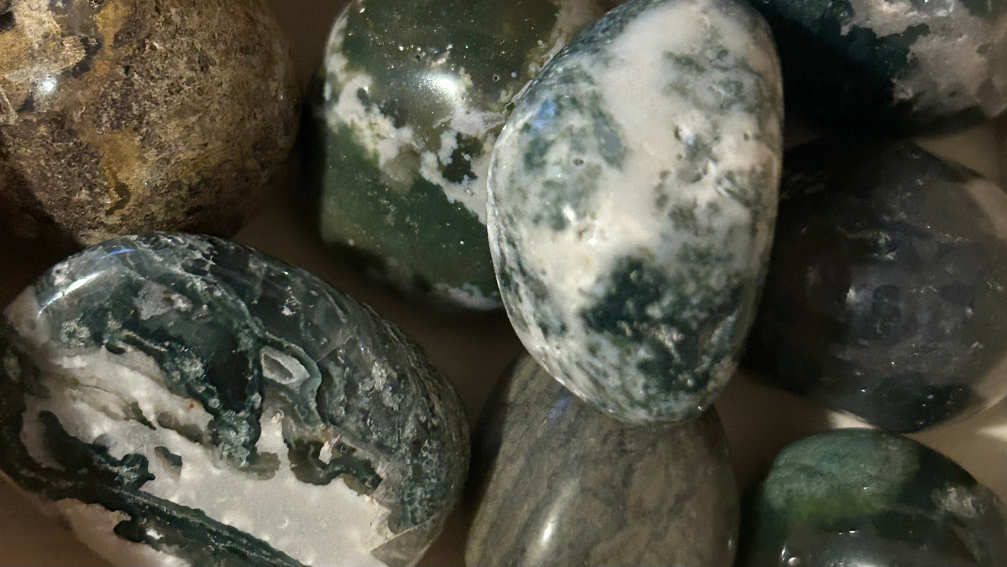 Tumble(s) - Moss Agate