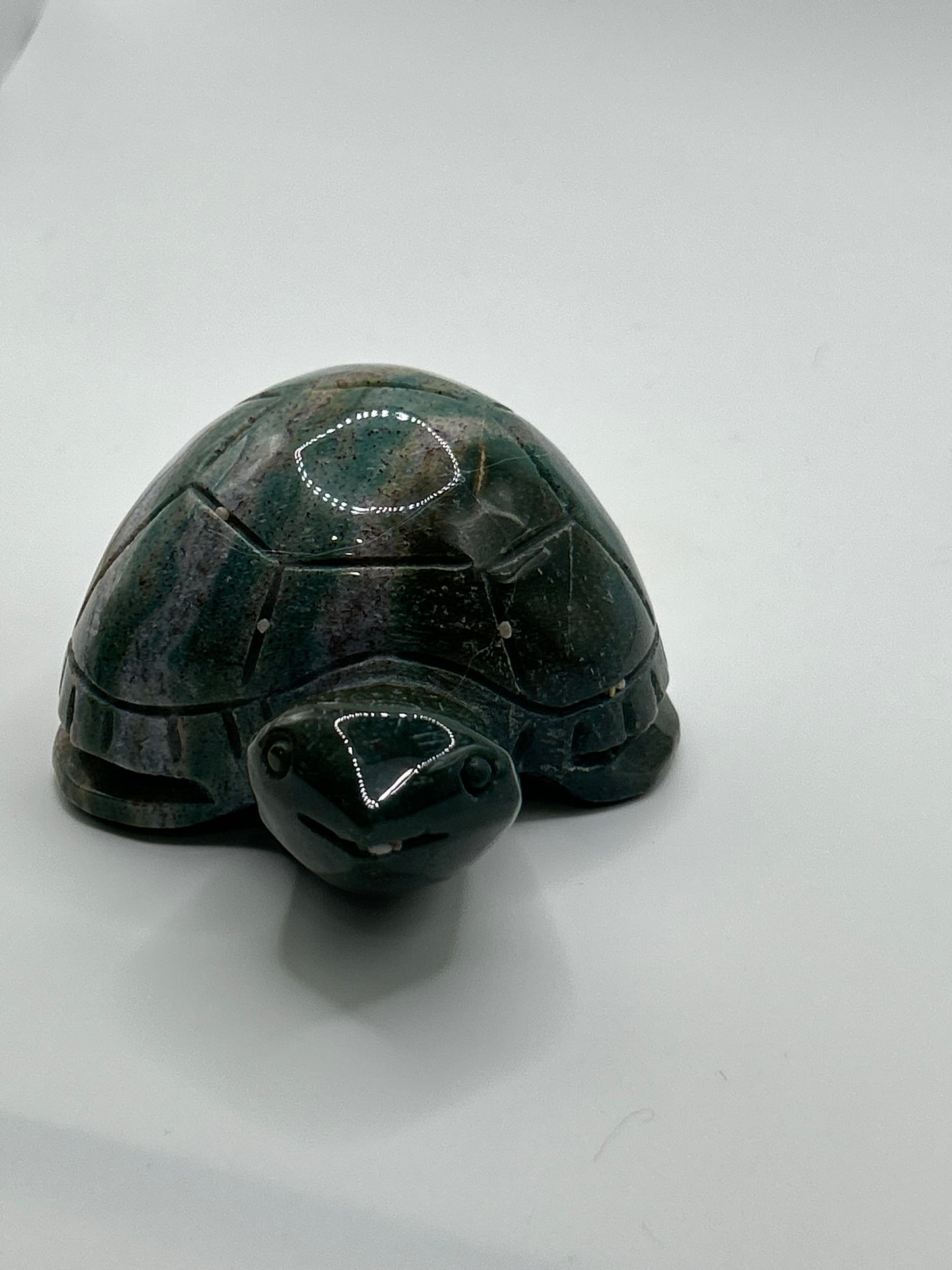Turtle(s) - Ocean Jasper