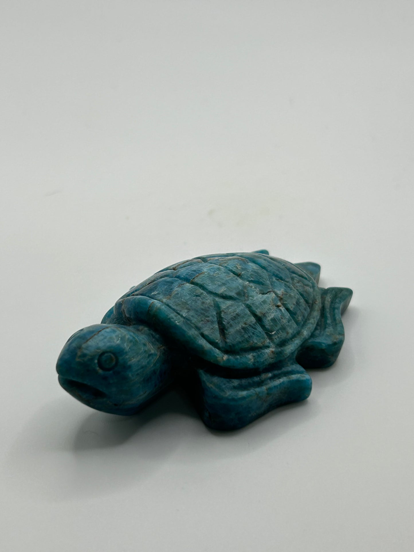 Turtle(s) - Blue Apatite
