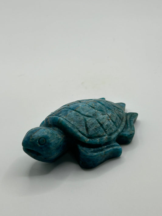 Turtle(s) - Blue Apatite
